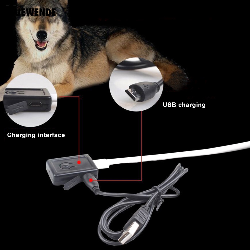 Vòng Cổ Thú Cưng Gắn Đèn LED Có Thể Sạc Lại Bằng Cổng USB Chống Thất Lạc
