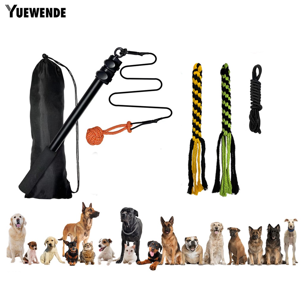 1 Bộ Gậy Đồ Chơi YR.T Có Thể Thu Gọn Chống Cắn Giảm Căng Thẳng Tương Tác Cho Cún Cưng
