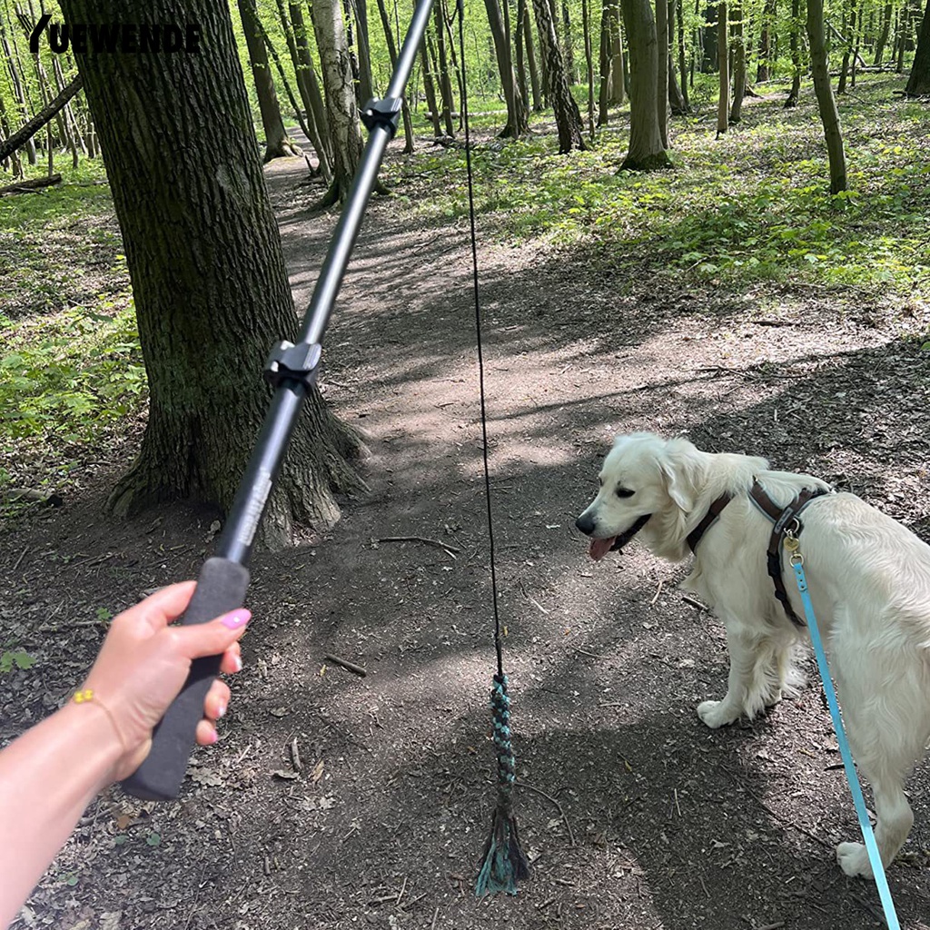 1 Bộ Gậy Đồ Chơi YR.T Có Thể Thu Gọn Chống Cắn Giảm Căng Thẳng Tương Tác Cho Cún Cưng