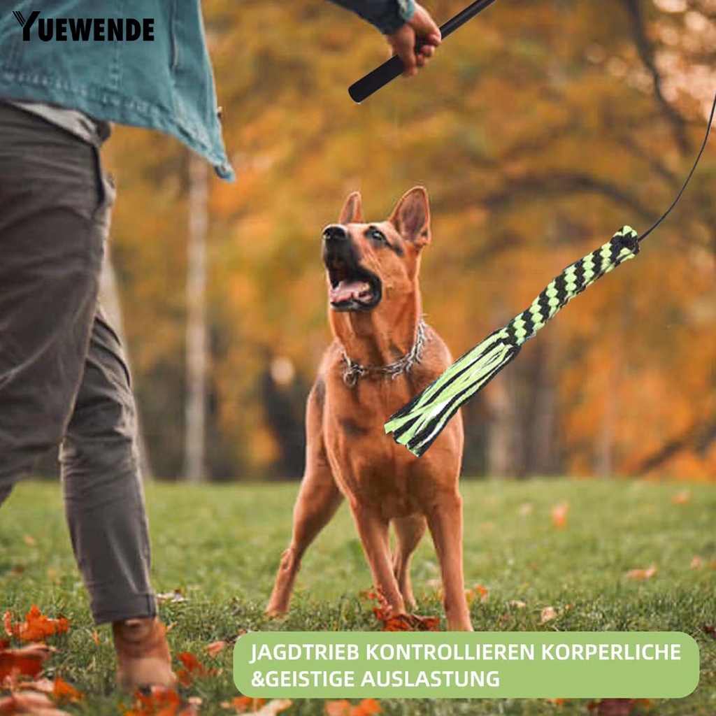 1 Bộ Gậy Đồ Chơi YR.T Có Thể Thu Gọn Chống Cắn Giảm Căng Thẳng Tương Tác Cho Cún Cưng