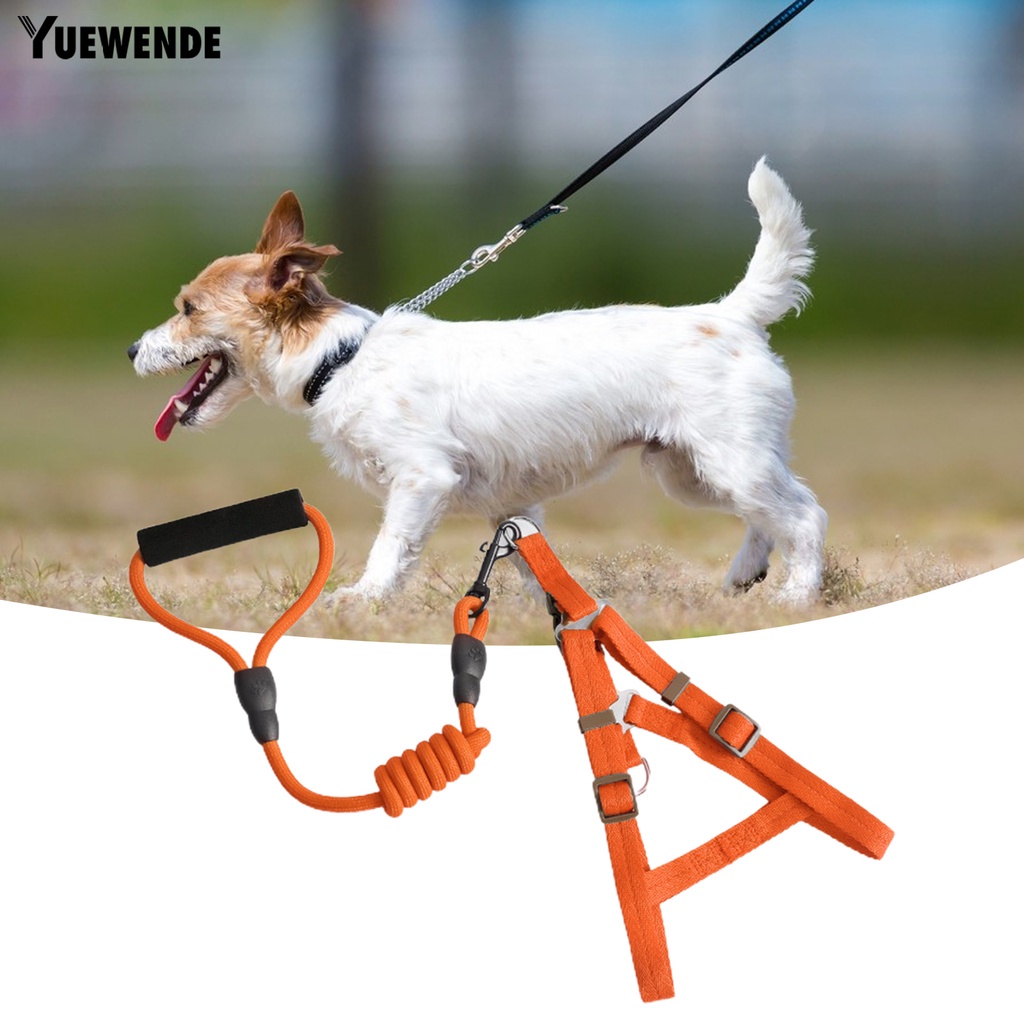 Yr.t Đai Dắt Thú Cưng Đi Dạo Có Thể Điều Chỉnh Nhanh Chóng Tiện Dụng