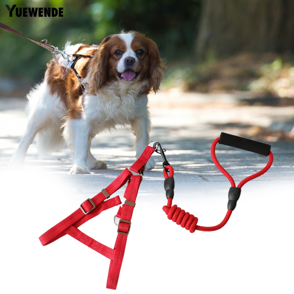 Yr.t Đai Dắt Thú Cưng Đi Dạo Có Thể Điều Chỉnh Nhanh Chóng Tiện Dụng