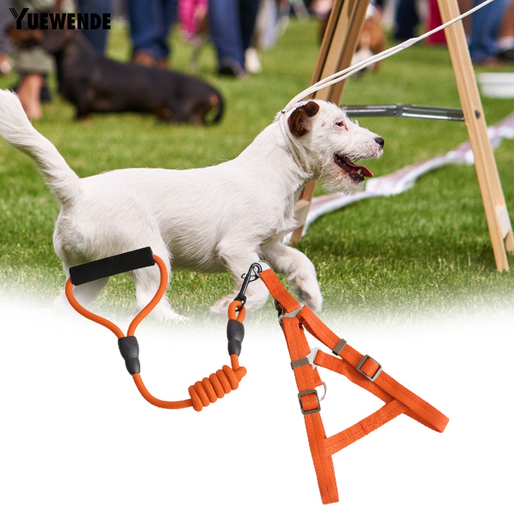 Yr.t Đai Dắt Thú Cưng Đi Dạo Có Thể Điều Chỉnh Nhanh Chóng Tiện Dụng