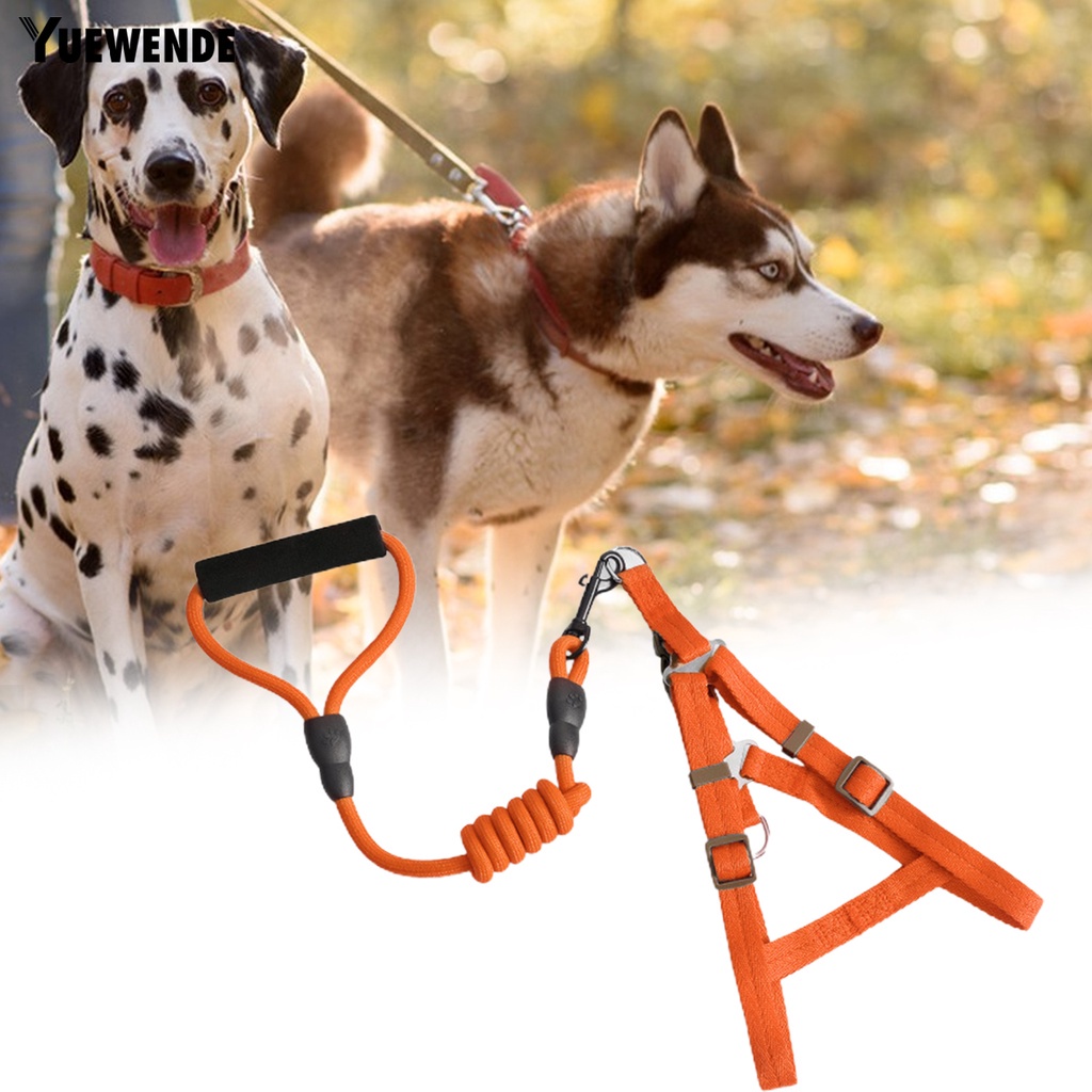 Yr.t Đai Dắt Thú Cưng Đi Dạo Có Thể Điều Chỉnh Nhanh Chóng Tiện Dụng