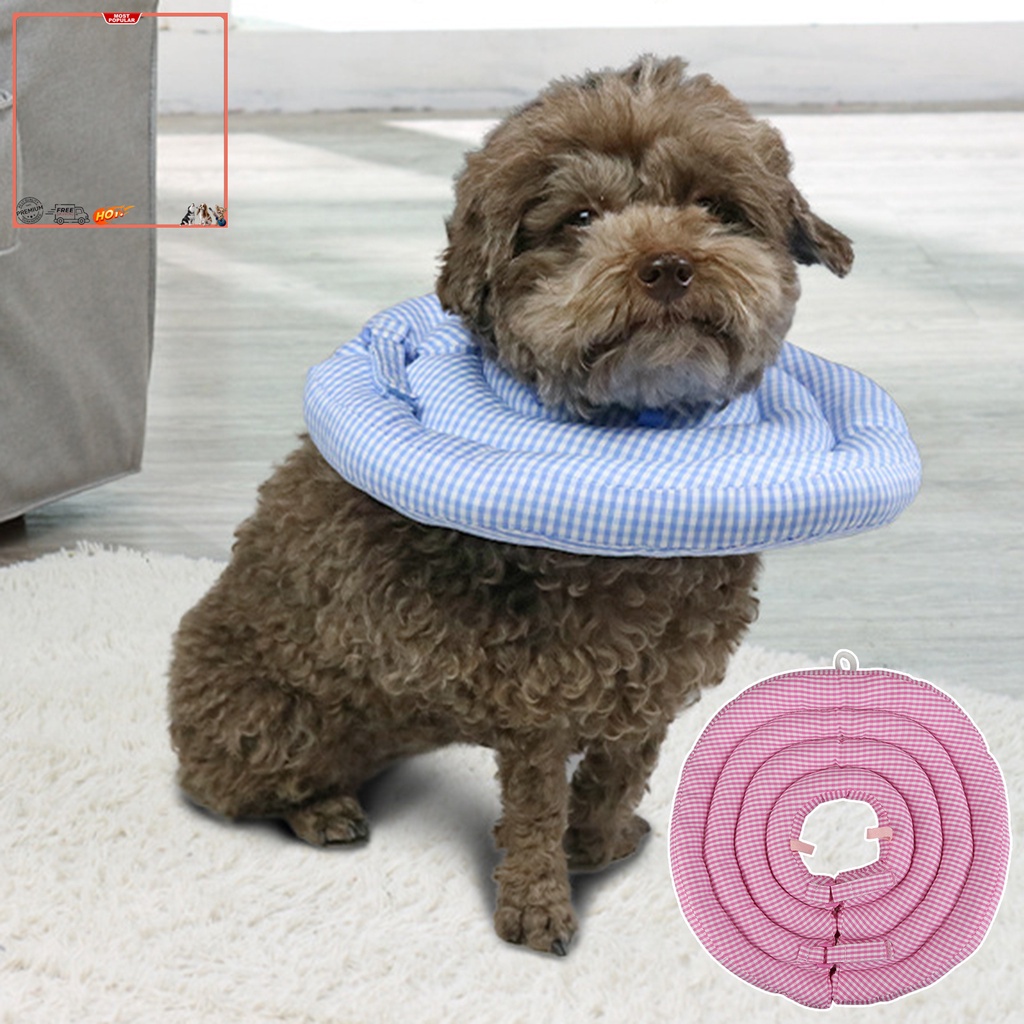 Vòng Cổ Họa Tiết Hoạt Hình Phục Hồi Vết Thương Dành Cho Thú Cưng