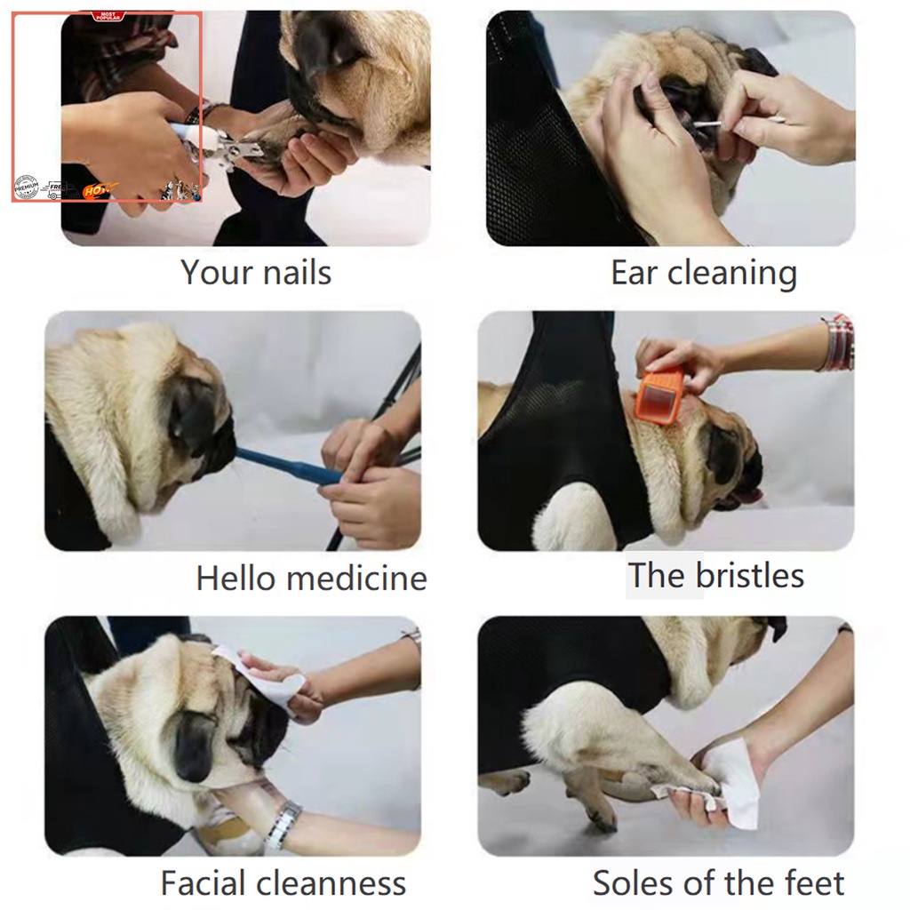 Võng Di Động Bằng Polyester Chống Trượt Chống Trầy Thoải Mái Tiện Dụng Cho Thú Cưng