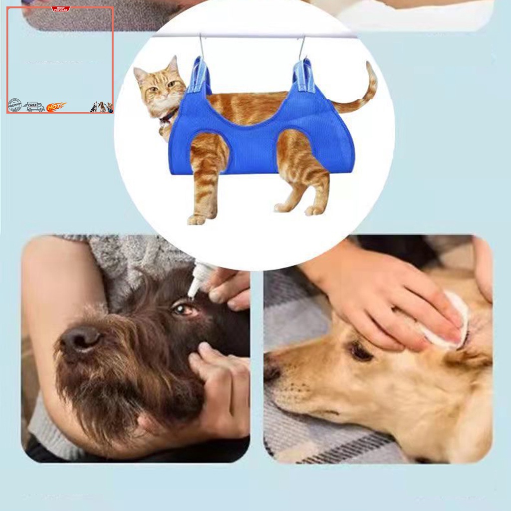 Võng Di Động Bằng Polyester Chống Trượt Chống Trầy Thoải Mái Tiện Dụng Cho Thú Cưng