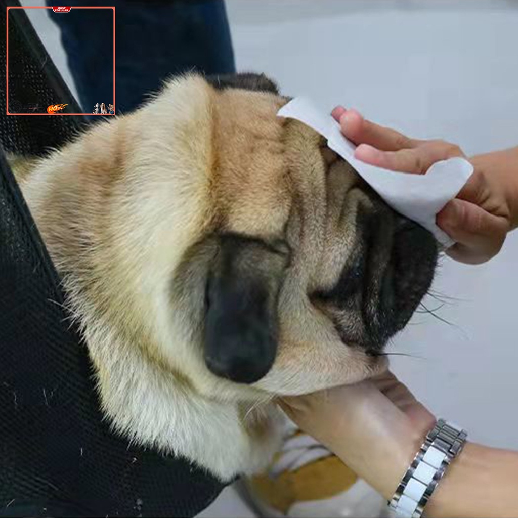 Võng Di Động Bằng Polyester Chống Trượt Chống Trầy Thoải Mái Tiện Dụng Cho Thú Cưng