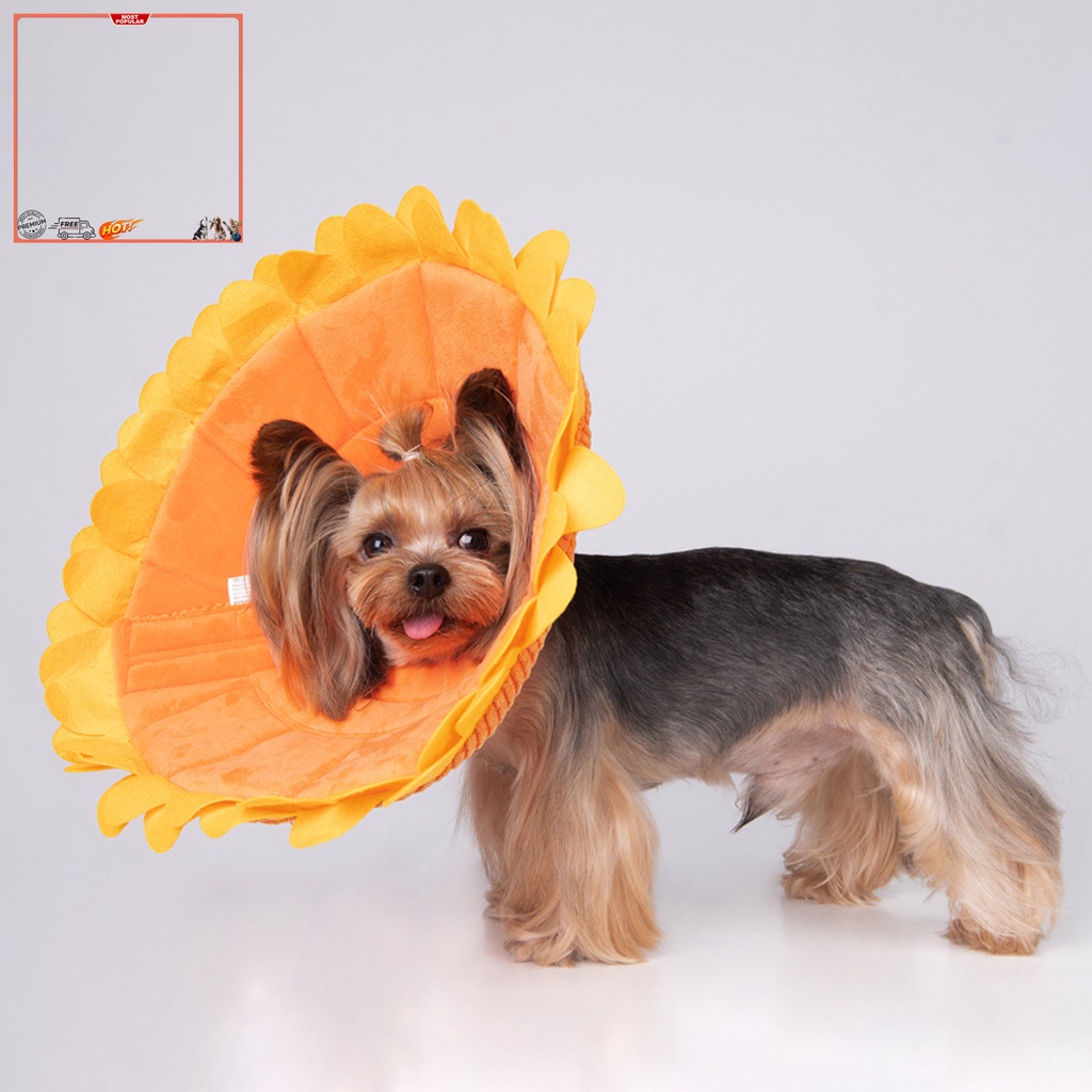 Vòng Đeo Cổ Bằng Polyester Hình Tròn Họa Tiết Hoa Hướng Dương Bảo Vệ Cho Mèo Cưng