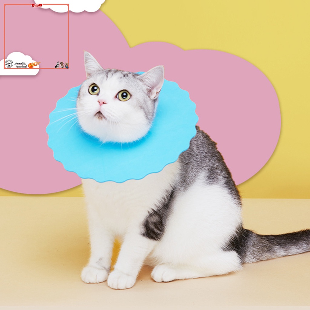 Yr.t Set 5 Vòng Đeo Cổ Bảo Vệ Chống Cắn Chống Đá Siêu Nhẹ Đáng Yêu Dành Cho Cún Cưng