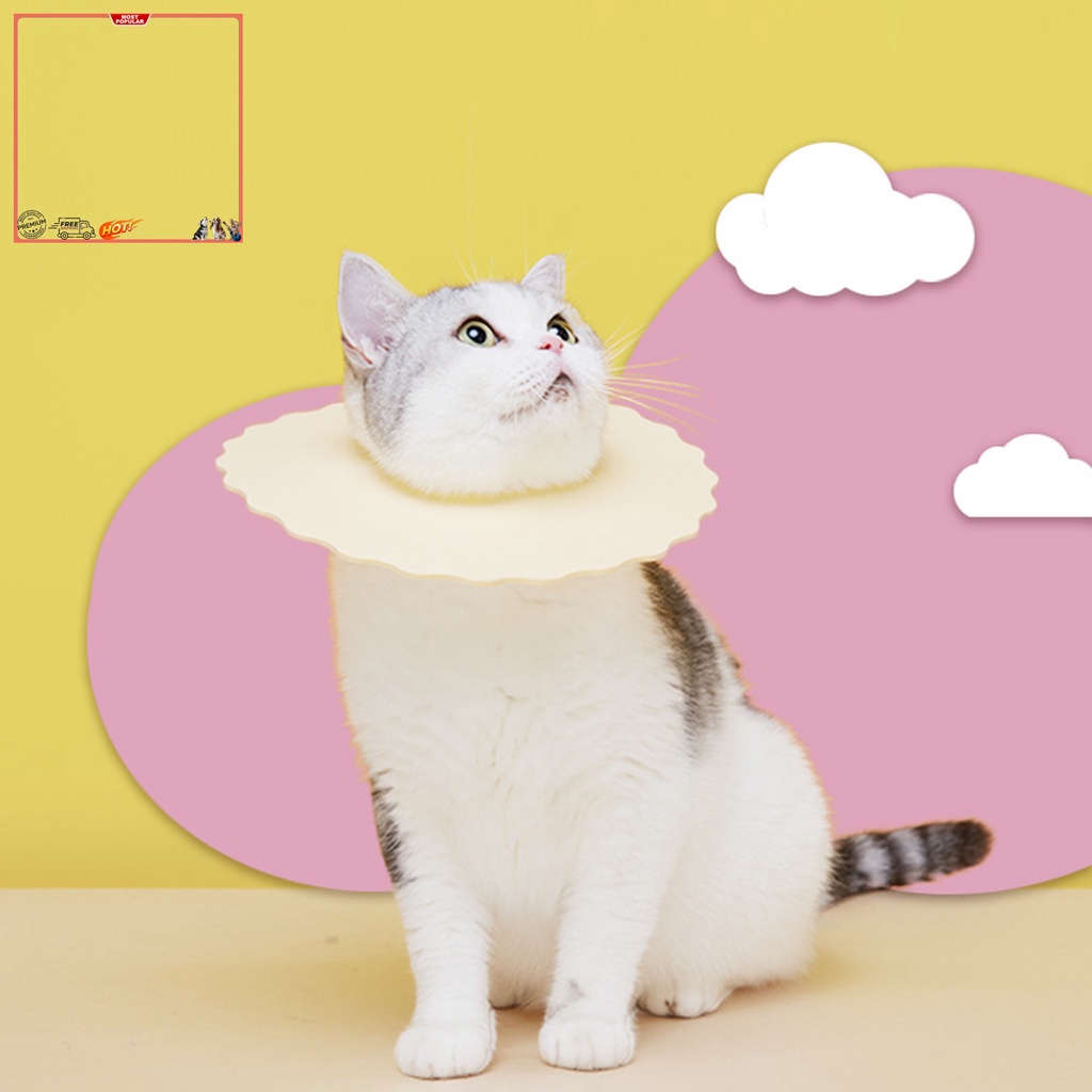 Yr.t Set 5 Vòng Đeo Cổ Bảo Vệ Chống Cắn Chống Đá Siêu Nhẹ Đáng Yêu Dành Cho Cún Cưng