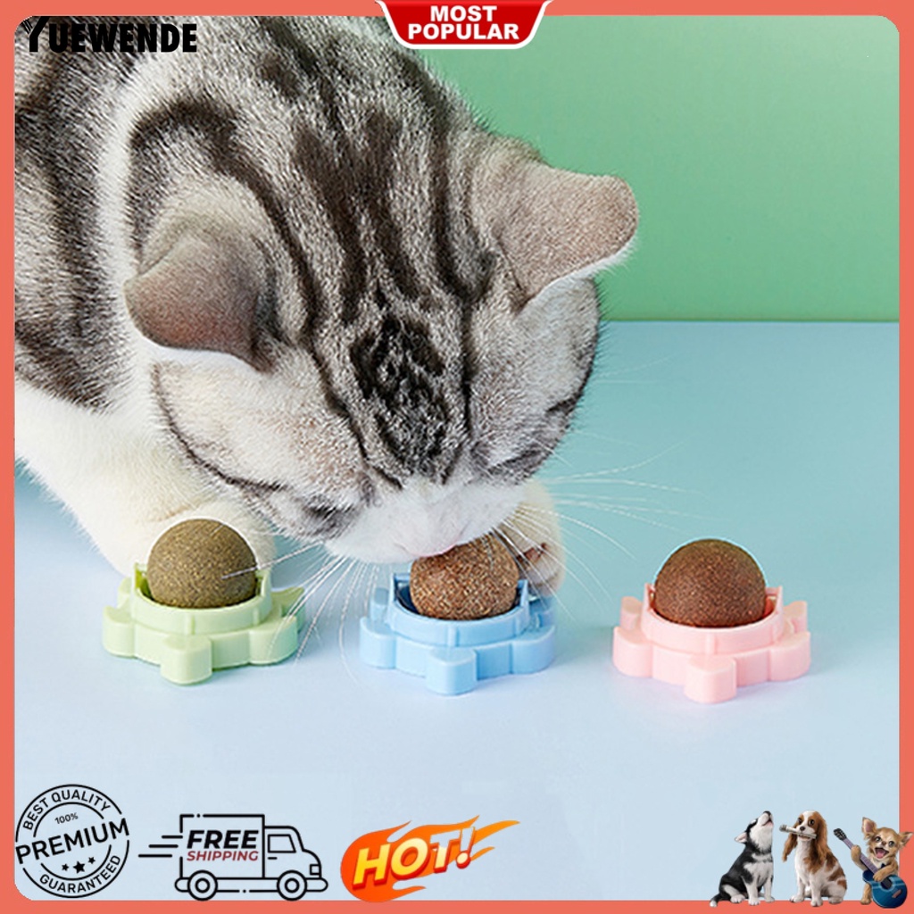 Đồ Chơi Hình Rùa Tự Nhiên Chống Cắn Giúp Giảm Căng Thẳng Cho Mèo Cưng