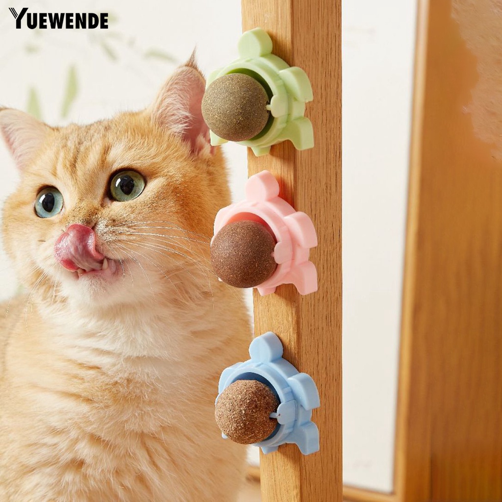 Đồ Chơi Hình Rùa Tự Nhiên Chống Cắn Giúp Giảm Căng Thẳng Cho Mèo Cưng