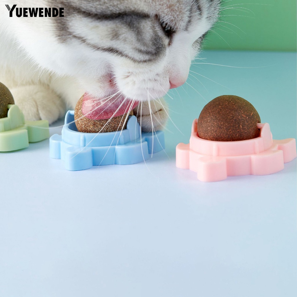 Đồ Chơi Hình Rùa Tự Nhiên Chống Cắn Giúp Giảm Căng Thẳng Cho Mèo Cưng