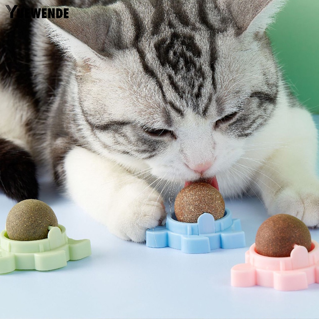 Đồ Chơi Hình Rùa Tự Nhiên Chống Cắn Giúp Giảm Căng Thẳng Cho Mèo Cưng