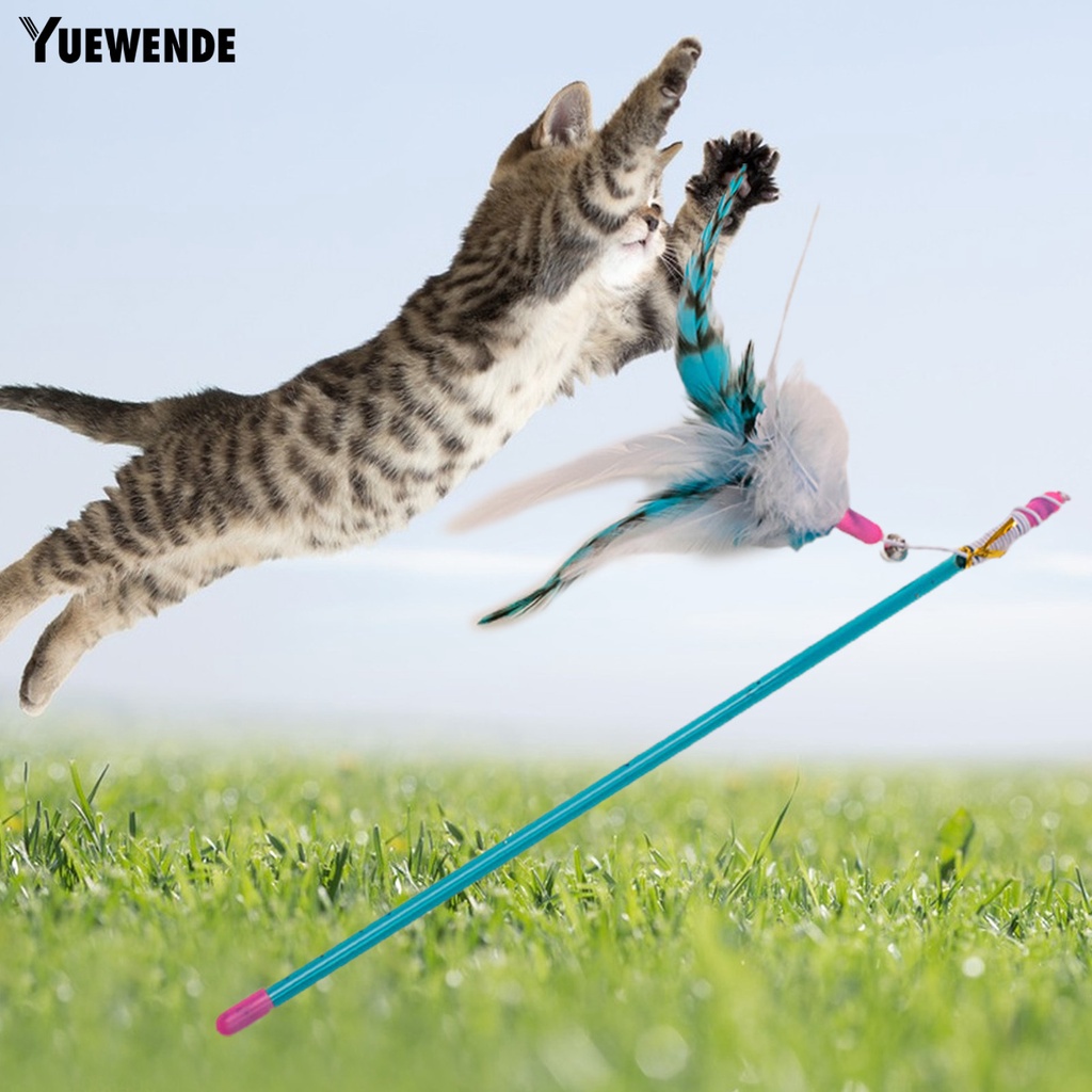 Gậy Lông Vũ Handmade Co Giãn Chống Cắn Chống Trầy Vui Nhộn Cho Mèo Cưng