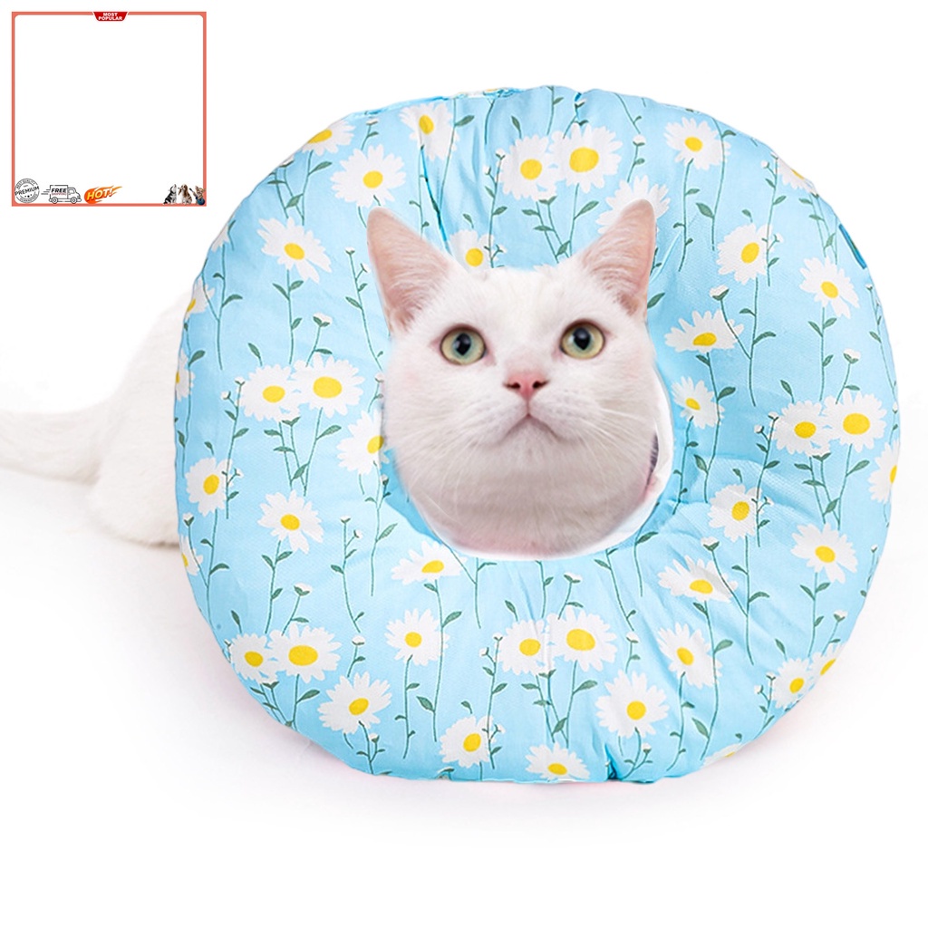 Vòng Cổ Chống Cắn Chống Đá Siêu Nhẹ Bảo Vệ Cho Thú Cưng YR.T