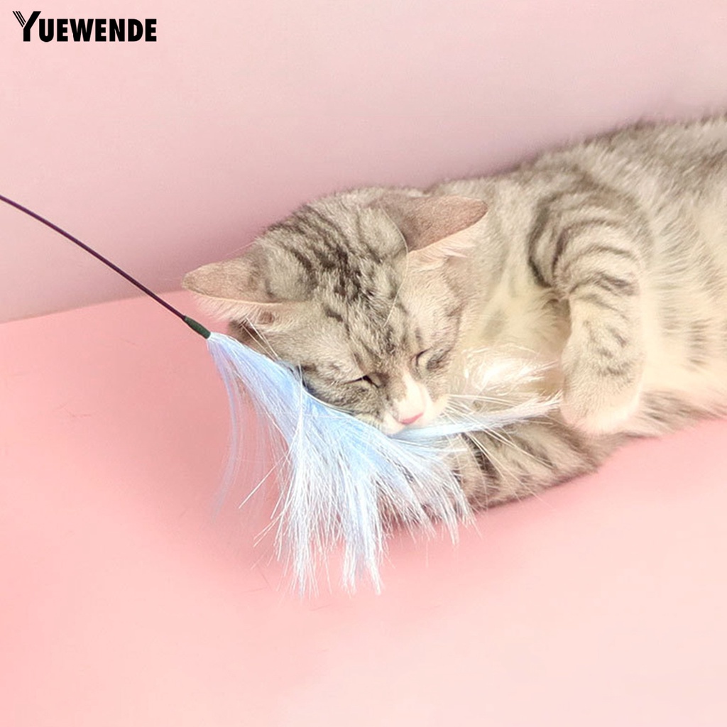 Gậy Trêu Mèo Có Chuông Nhiều Màu Sắc Vui Nhộn