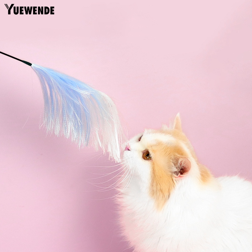 Gậy Trêu Mèo Có Chuông Nhiều Màu Sắc Vui Nhộn