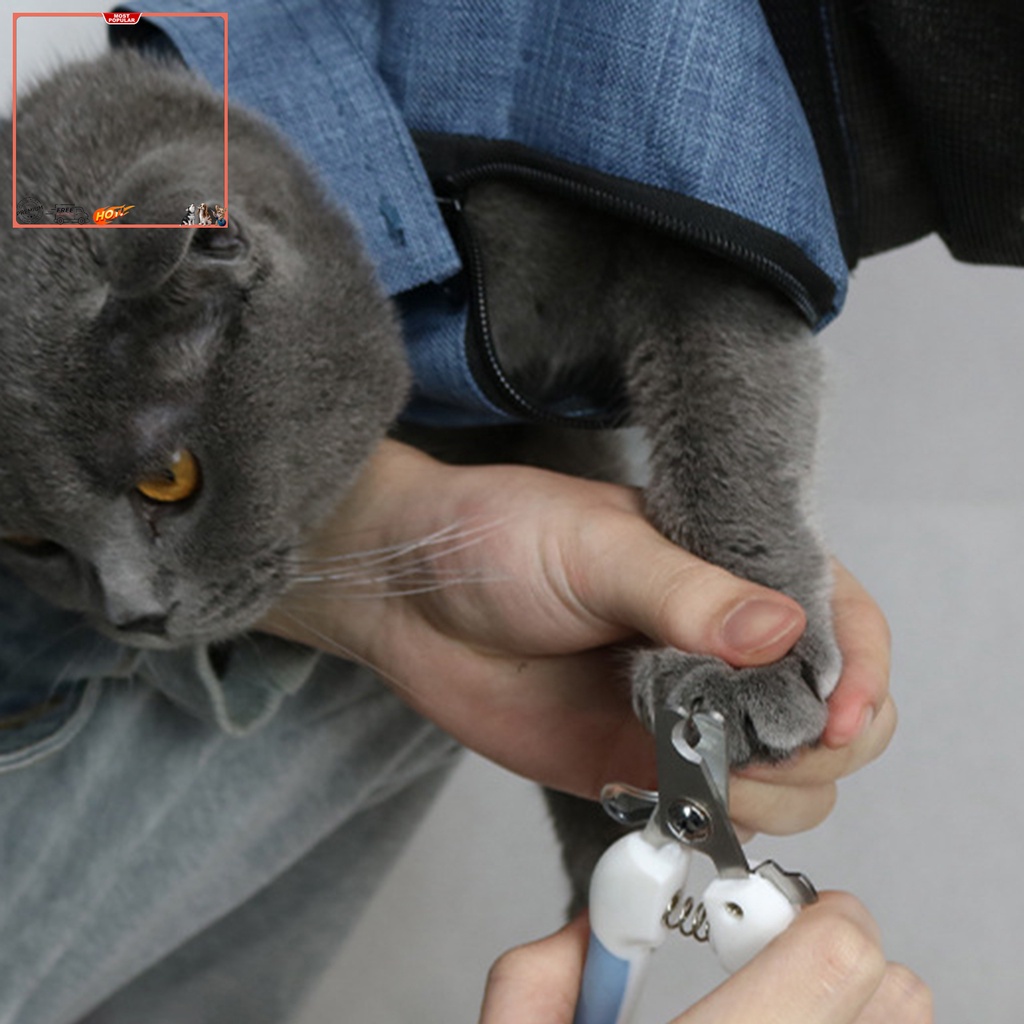 Túi vải Thoáng Khí Đựng Thú Cưng YR.T Có Thể Điều Chỉnh