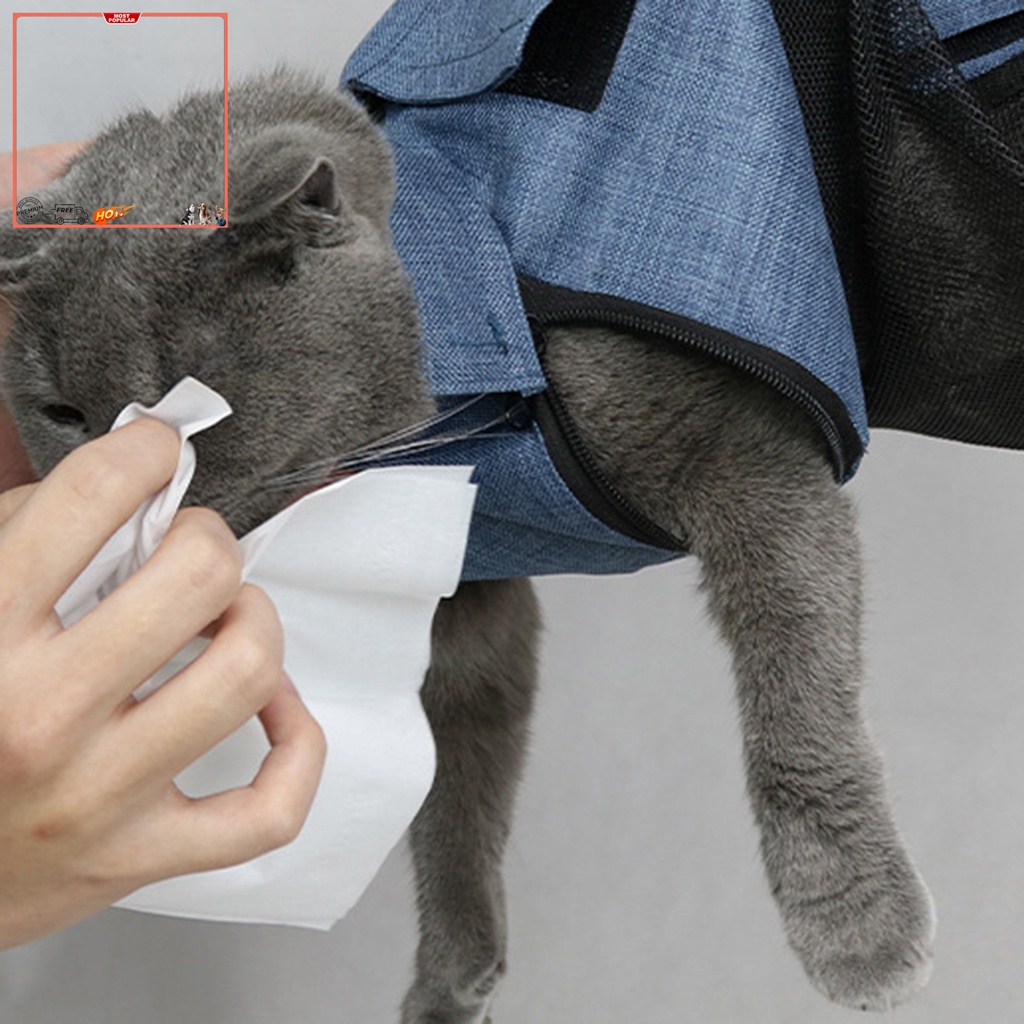 Túi vải Thoáng Khí Đựng Thú Cưng YR.T Có Thể Điều Chỉnh