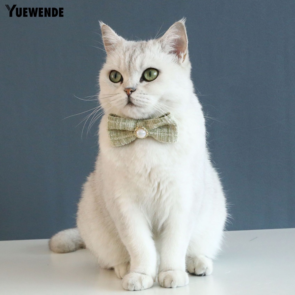 Vòng Cổ Đính Nơ Ngọc Trai Dễ Điều Chỉnh Chống Sặc Cho Thú Cưng YR.T