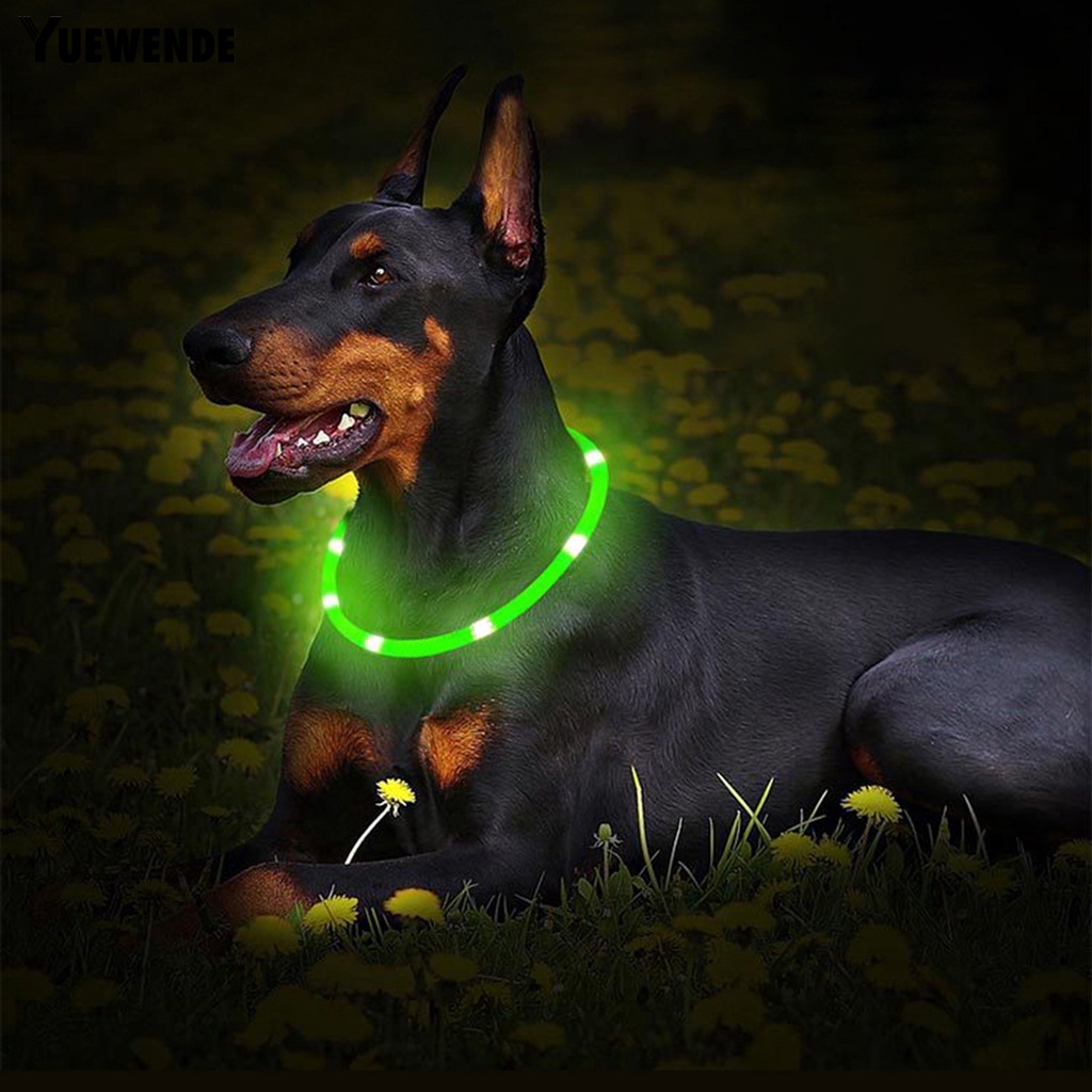 Vòng Cổ Có Đèn Led Có Thể Sạc Lại Bằng Cổng USB Dành Cho Thú Cưng
