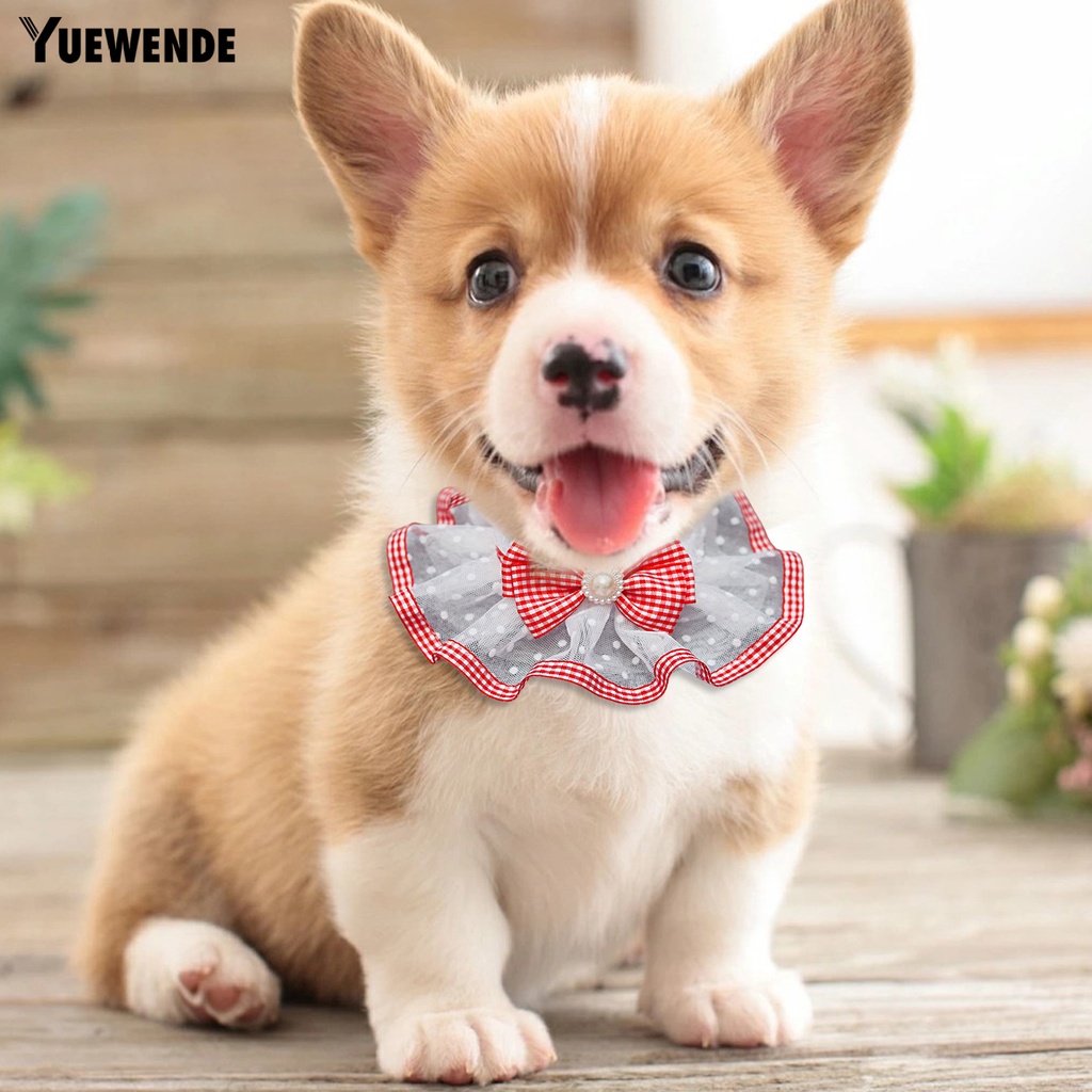 Yếm Đeo Cổ YR.T YR.T Phối Lưới Đính Ngọc Trai Giả Thắt Nơ Xinh Xắn Cho Thú Cưng