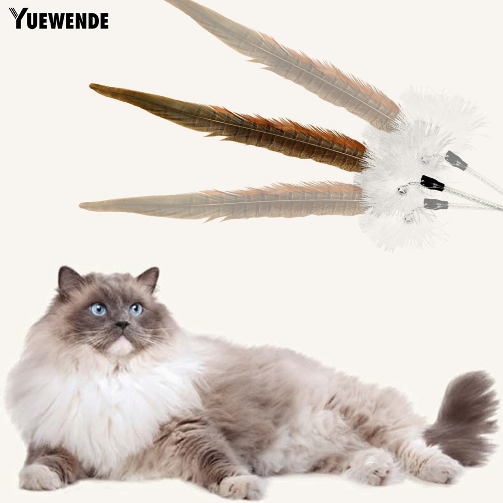 Gậy Trêu Mèo Đính Lông Vũ Tự Nhiên Quyến Rũ