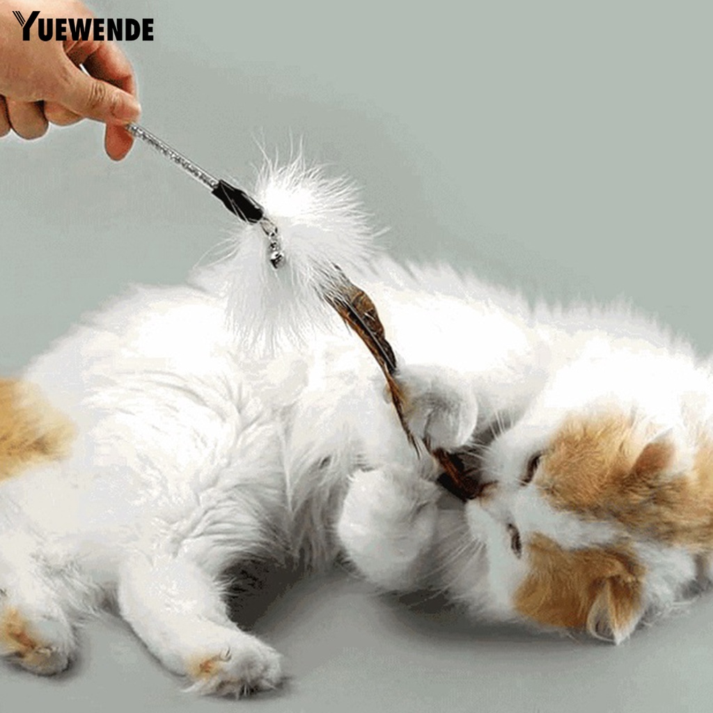 Gậy Trêu Mèo Đính Lông Vũ Tự Nhiên Quyến Rũ