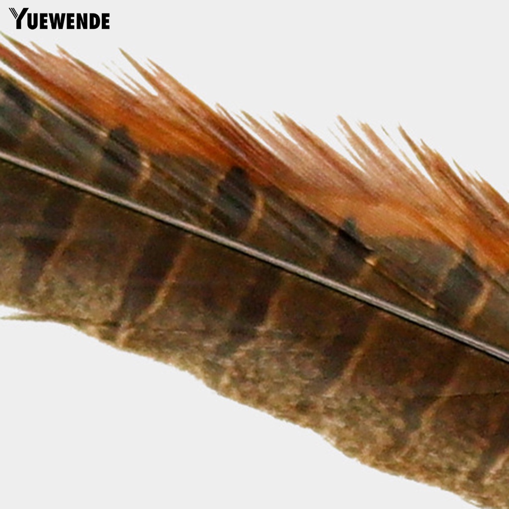 Gậy Trêu Mèo Đính Lông Vũ Tự Nhiên Quyến Rũ