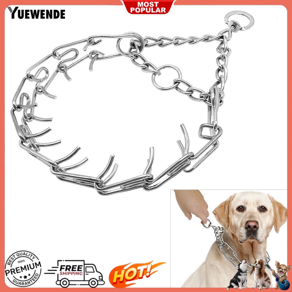 Vòng Cổ BằNg HợP Kim Cỡ LớN DàNh Cho HuấN LuyệN Thú Cưng