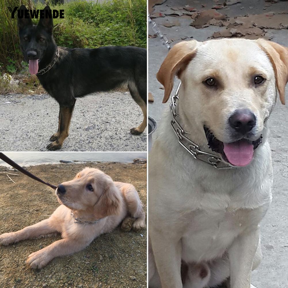 Vòng Cổ BằNg HợP Kim Cỡ LớN DàNh Cho HuấN LuyệN Thú Cưng