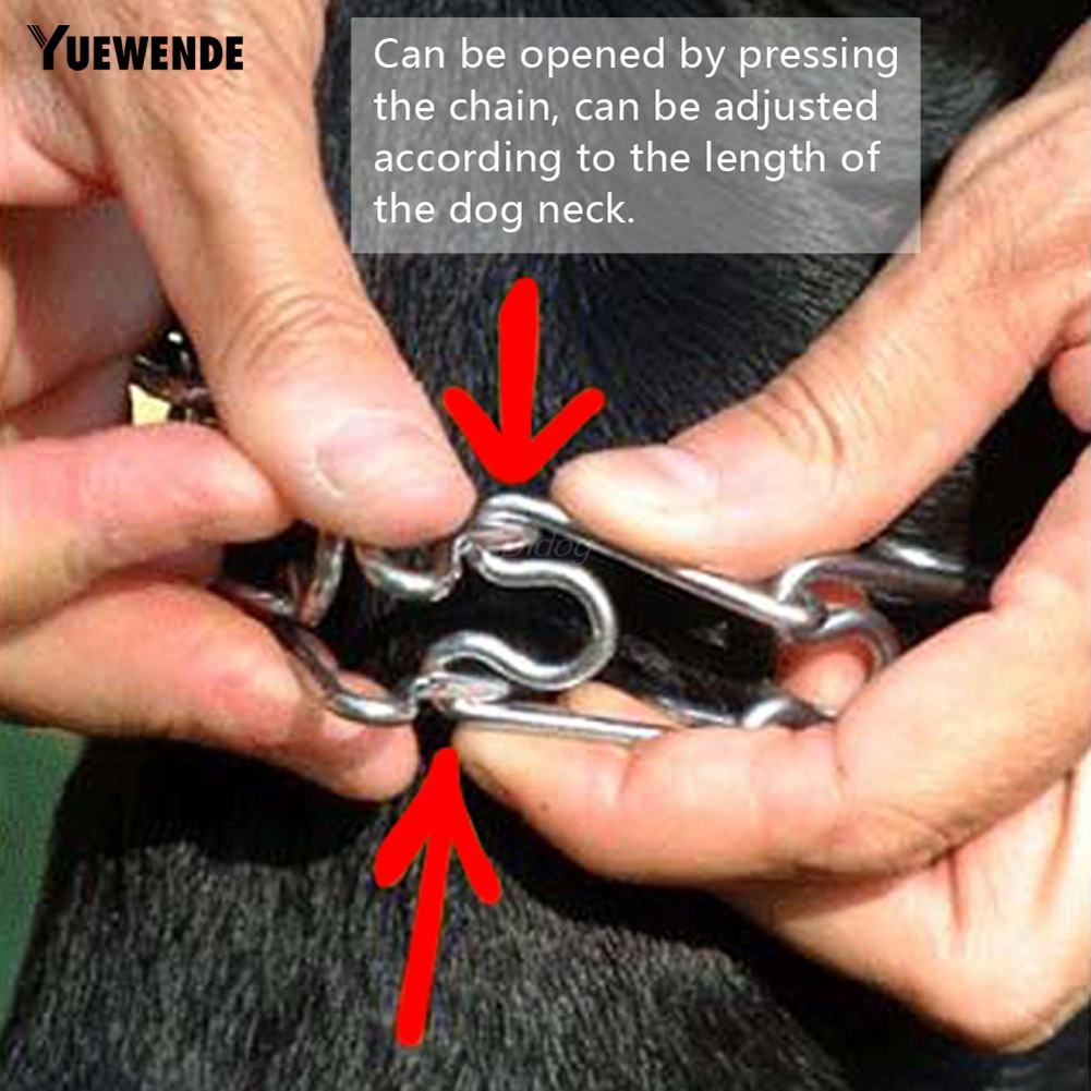 Vòng Cổ BằNg HợP Kim Cỡ LớN DàNh Cho HuấN LuyệN Thú Cưng