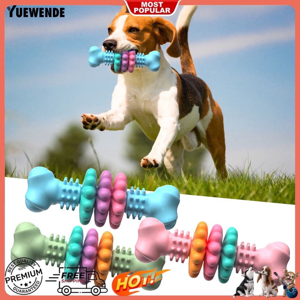 Đồ Chơi Hình Khúc Xương Nhiều Màu Sắc Chống Cắn Bền Bỉ Dành Cho Thú Cưng