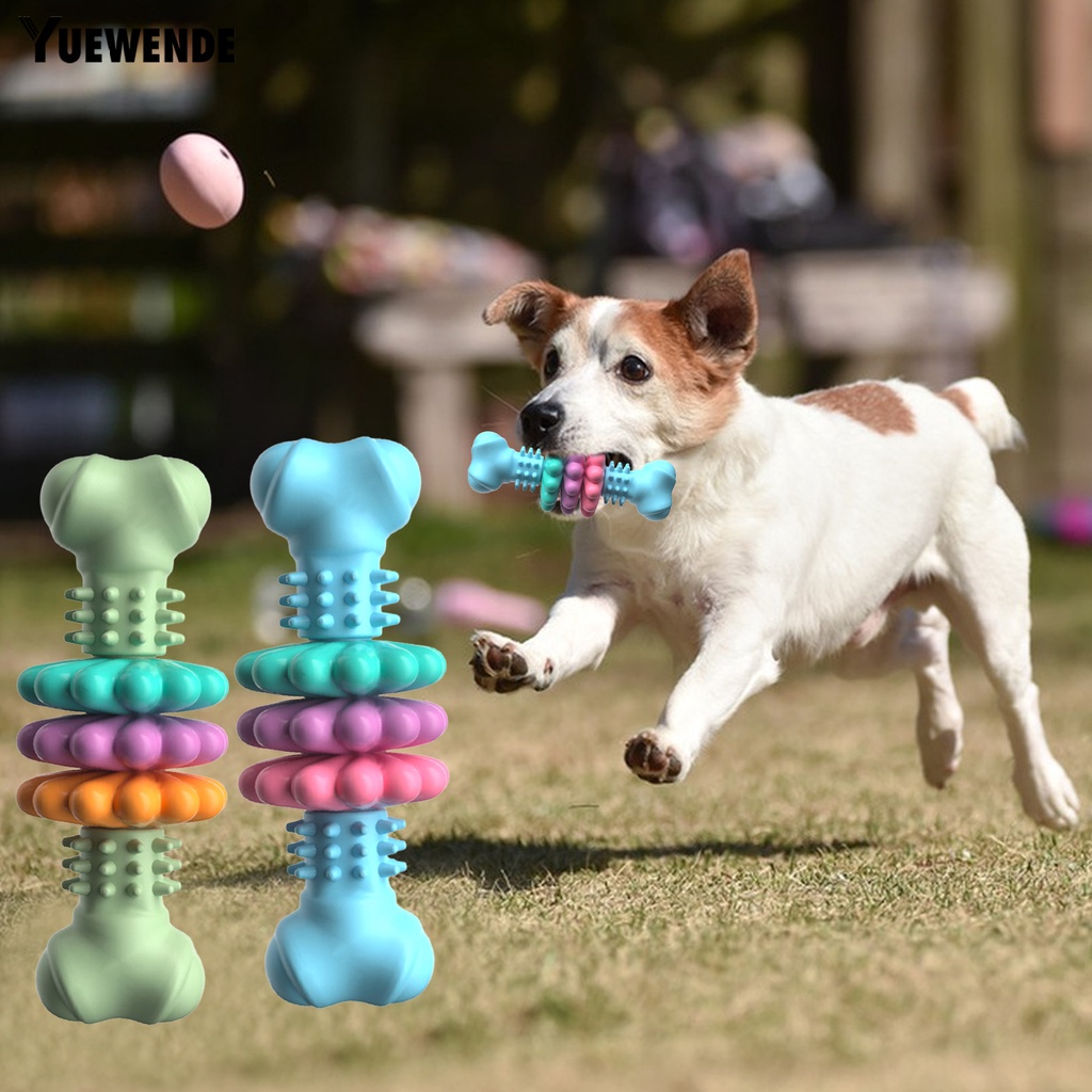 Đồ Chơi Hình Khúc Xương Nhiều Màu Sắc Chống Cắn Bền Bỉ Dành Cho Thú Cưng