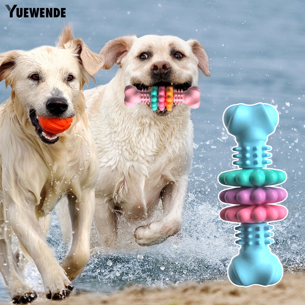 Đồ Chơi Hình Khúc Xương Nhiều Màu Sắc Chống Cắn Bền Bỉ Dành Cho Thú Cưng