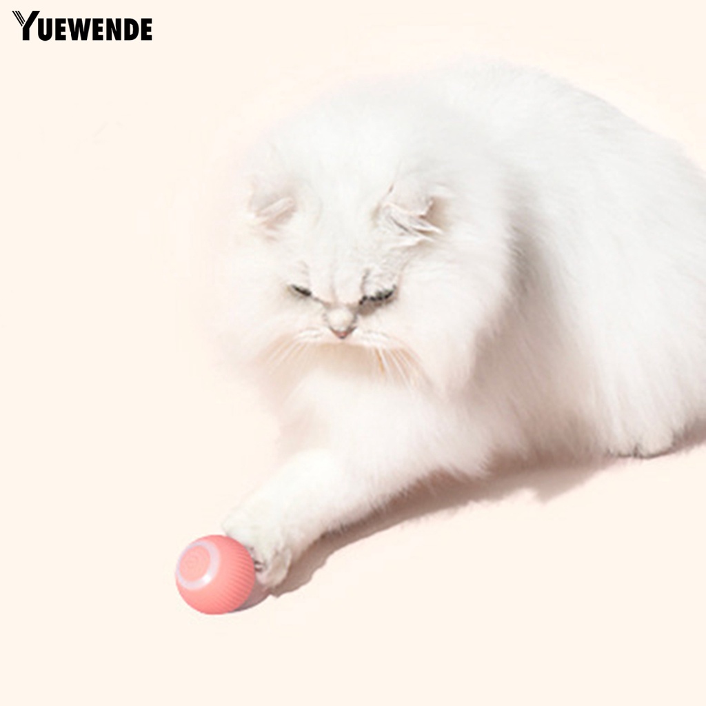 1 Bộ Bóng Lăn Đồ Chơi Ba Chế Độ Chống Cắn Dành Cho Mèo Cưng
