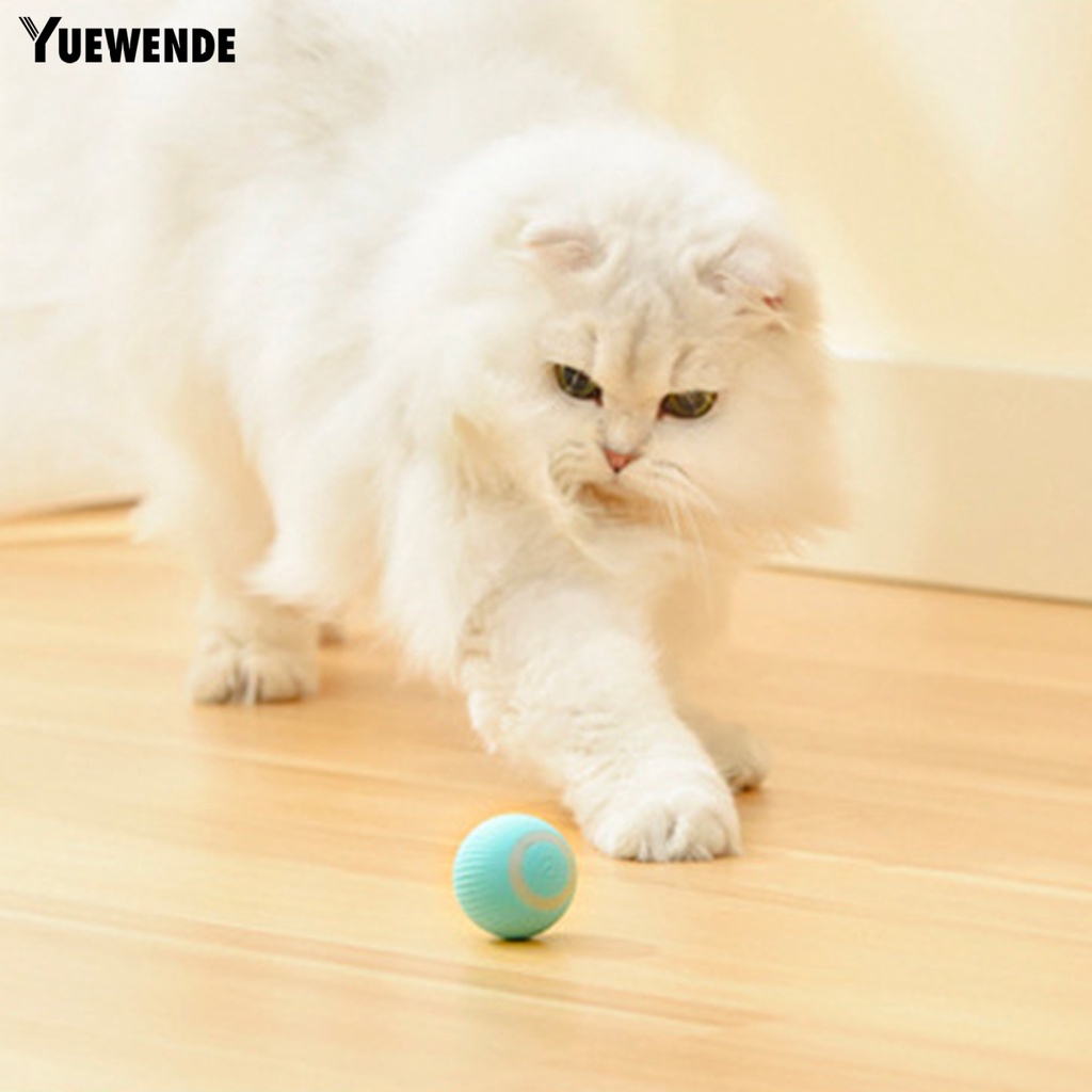 1 Bộ Bóng Lăn Đồ Chơi Ba Chế Độ Chống Cắn Dành Cho Mèo Cưng