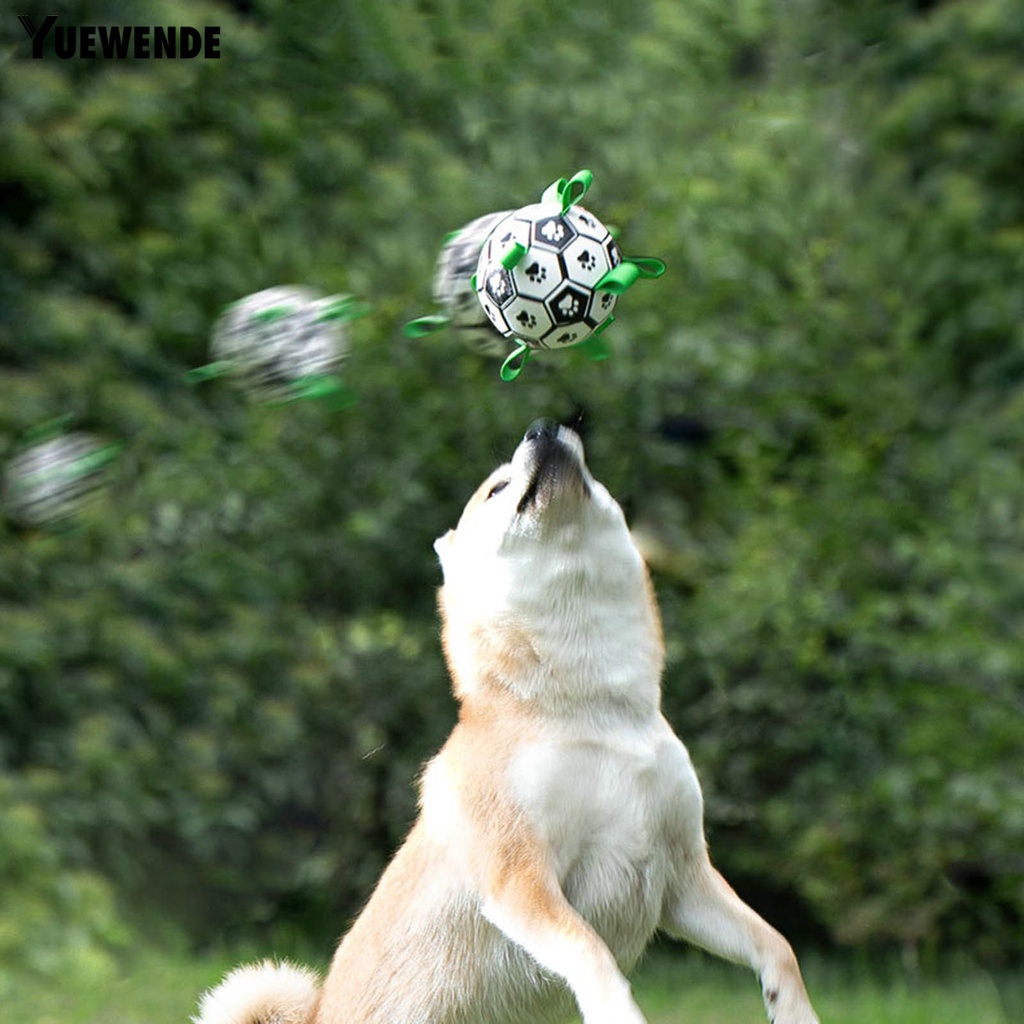 Quả Bóng Đồ Chơi Chống Trầy Chống Cắn Có Dây Đeo Cho Thú Cưng