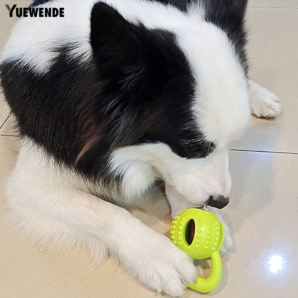 Đồ Chơi Gặm Hình Vuông Chống Cắn Làm Sạch Răng Dành Cho Thú Cưng