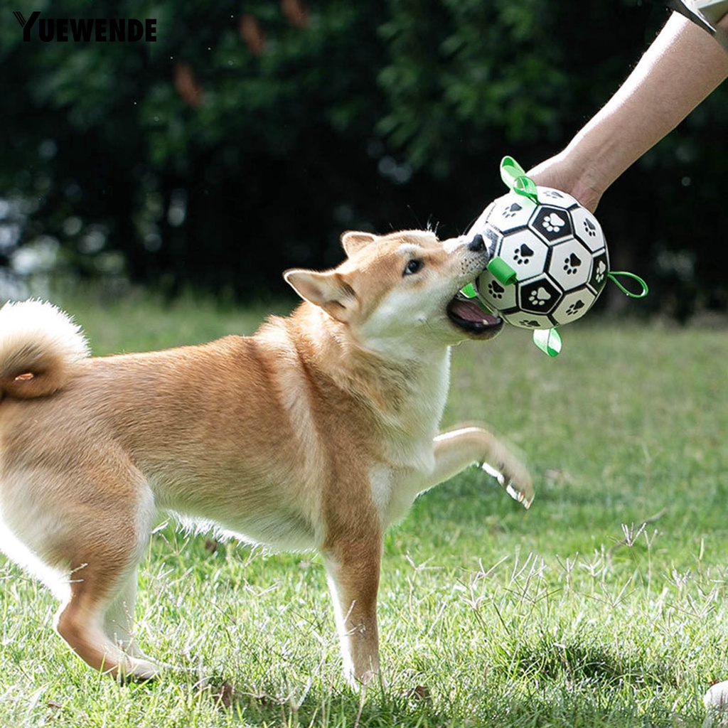 Quả Bóng Đồ Chơi Chống Trầy Chống Cắn Có Dây Đeo Cho Thú Cưng