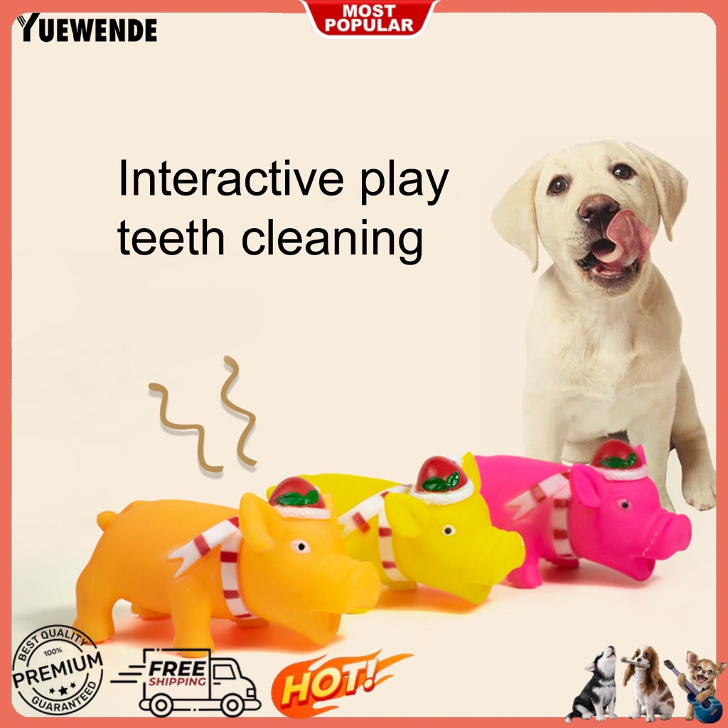 Đồ Chơi Hình Chú Heo 3D Chống Cắn Bền Bỉ Vui Nhộn Cho Thú Cưng