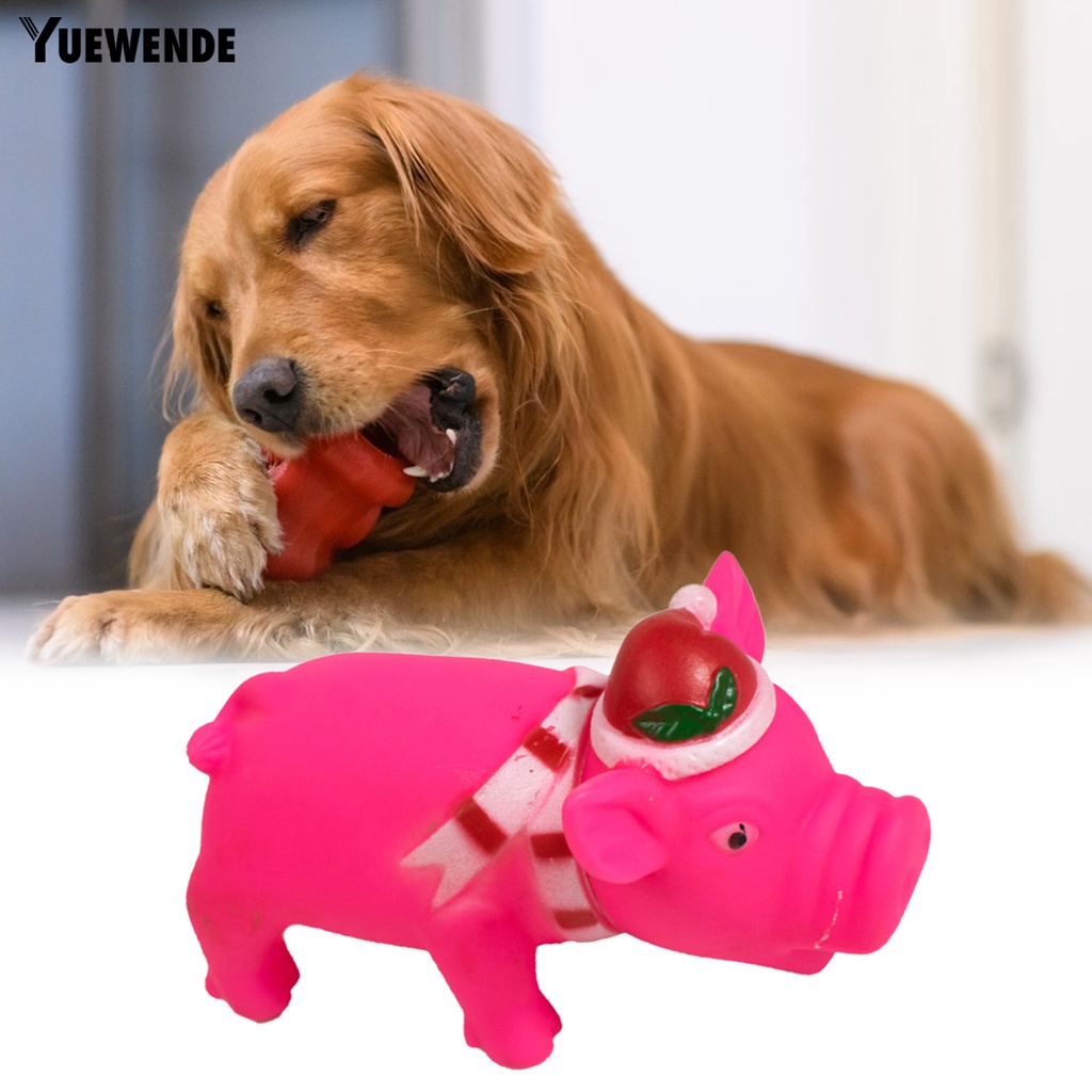 Đồ Chơi Hình Chú Heo 3D Chống Cắn Bền Bỉ Vui Nhộn Cho Thú Cưng