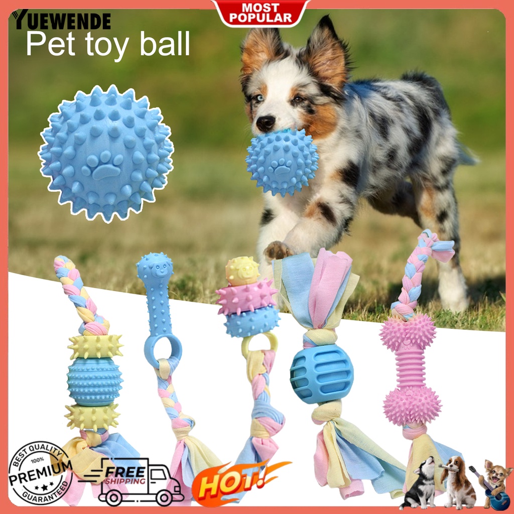 Đồ Chơi Hình Khúc Xương Hoạt Hình Trọng Lượng Nhẹ Dễ Vệ Sinh Tái Sử Dụng Dành Cho Cún Cưng