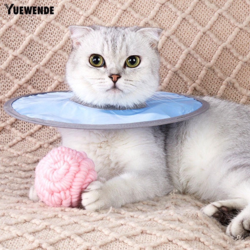 Vòng Cổ Bằng Polyester Thân Thiện Với Da Chống Nước Chống Liếm Có Thể Điều Chỉnh Bảo Vệ Cho Thú Cưng