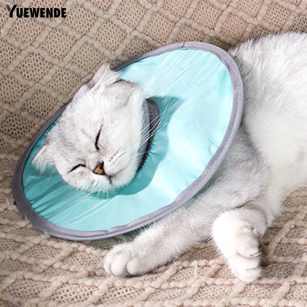 Vòng Cổ Bằng Polyester Thân Thiện Với Da Chống Nước Chống Liếm Có Thể Điều Chỉnh Bảo Vệ Cho Thú Cưng