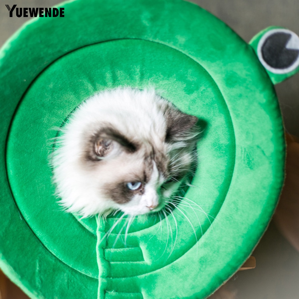 Vòng Cổ Chữ E Chống Cắn / Trầy Xước Tùy Chỉnh Tiện Dụng Cho Thú Cưng