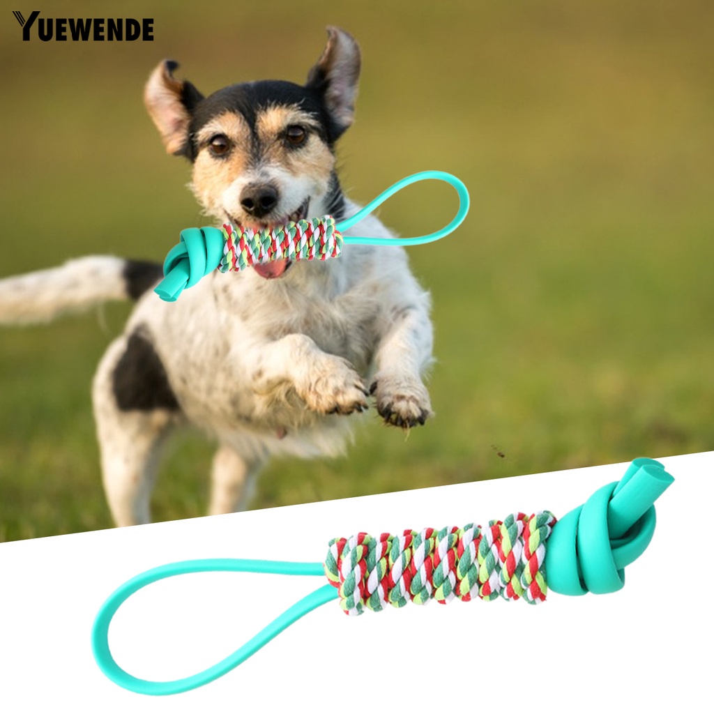 Đồ Chơi Dây TPR Thắt Nút Linh Hoạt Mạnh Mẽ An Toàn Giúp Giải Tỏa Căng Thẳng Cho Thú Cưng