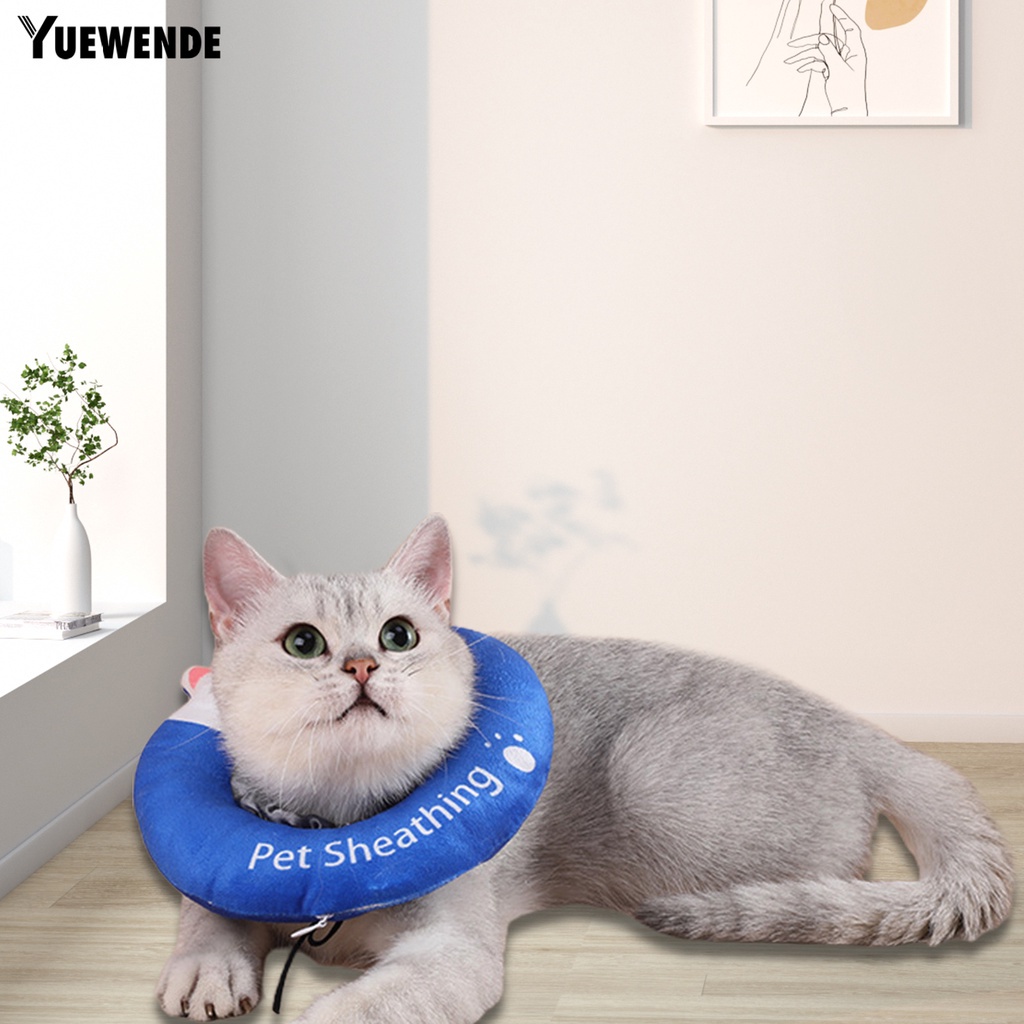 Vòng Đeo Cổ Hình Nón Họa Tiết Hoạt Hình Màu Sắc Tươi Sáng Chống Nhấp Nháy Bảo Vệ Sức Khỏe Cho Mèo Cưng YR.T